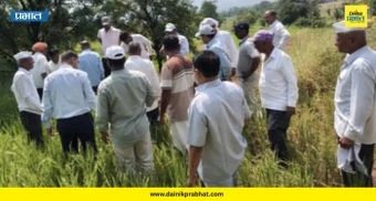 Bhor News: भोरमध्ये दुष्काळी पंचनाम्यांना वेग! २३१० हेक्टर क्षेत्राची नोंद; 'ही' महत्त्वाची कागदपत्रे ठेवा तयार