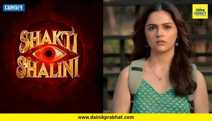 Shakti Shalini Movie : ‘किंग’मुळे ‘शक्ती शालिनी’चं प्रदर्शन पुढे ढकललं? अनित पड्डाच्या चित्रपटाबाबत मोठी अपडेट!