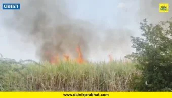 Shirur : विद्युत वाहिनीची तार तुटून शॉर्टसर्किट झाल्याने दहा एकर ऊस जळून खाक; शिरुर तालुक्यातील घटना