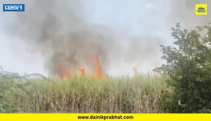Shirur : विद्युत वाहिनीची तार तुटून शॉर्टसर्किट झाल्याने दहा एकर ऊस जळून खाक; शिरुर तालुक्यातील घटना