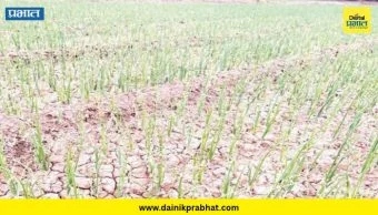 Alephata : कांदालागवडीचा खर्च लाखाच्या उंबरठ्यावर