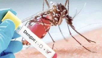 Dengue Cases: डेंग्यू रोखण्यासाठी कृती आराखडा जाहीर करा; माजी नगरसेवक अरुण माने यांची मुख्याधिकाऱ्यांकडे मागणी