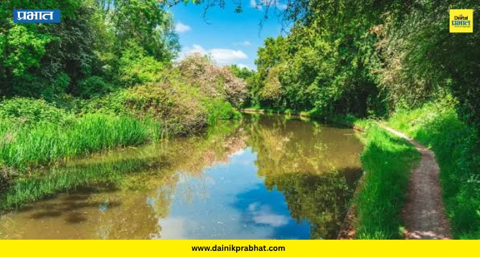 Kanher Canal: कण्हेर उजव्या कालव्याला झाडाझुडपांचा विळखा; जलसंपदा विभागाच्या दुर्लक्षामुळे शेतकरी संकटात