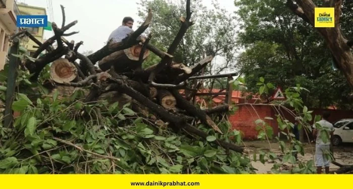 अग्रलेख : विनाशकारी विकास