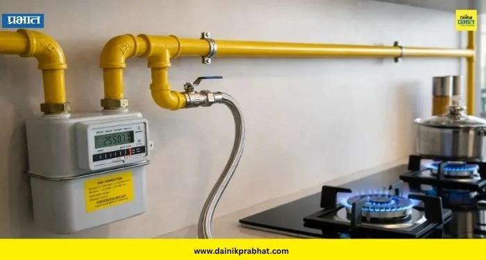 PNG Gas : पेट्रोलपाठोपाठ आता घरच्या PNG गॅसमध्येही हायड्रोजन; तुमच्या बिलावर काय परिणाम होणार?