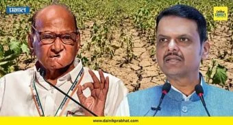 Sharad Pawar: 'शेतकरी संकटात, सरकारने ताकद द्यावी!' पुरंदरच्या ओसाड रानातून शरद पवारांचा मुख्यमंत्र्यांना सल्ला