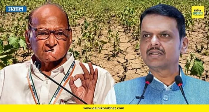 Sharad Pawar: ‘शेतकरी संकटात, सरकारने ताकद द्यावी!’ पुरंदरच्या ओसाड रानातून शरद पवारांचा मुख्यमंत्र्यांना सल्ला
