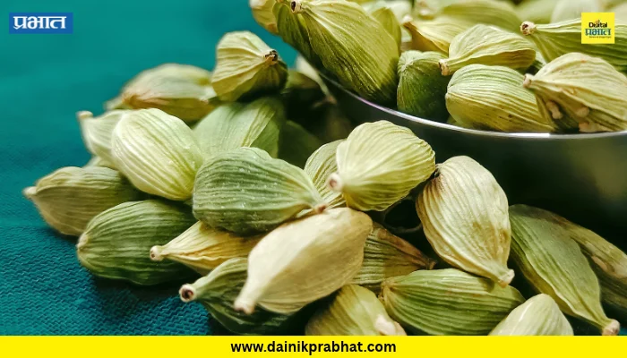 Cardamom Benefits: वजन कमी करण्यापासून पचन सुधारण्यापर्यंत! स्वयंपाकघरातील वेलचीचे आरोग्यदायी फायदे जाणून घ्या