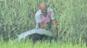 Khalapur News: भातपीक वाचवण्यासाठी टँकरच्या पाण्याचा आधार 