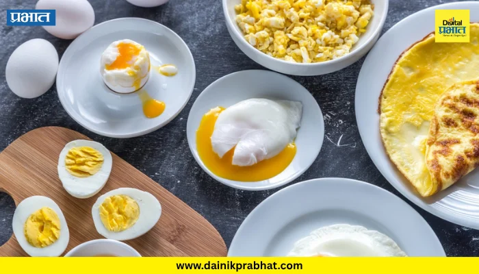 Egg Nutrition: उकडलेलं अंडं, ऑम्लेट की भुर्जी? अंडं खाण्याची योग्य पद्धत कोणती, जाणून घ्या फायदे!