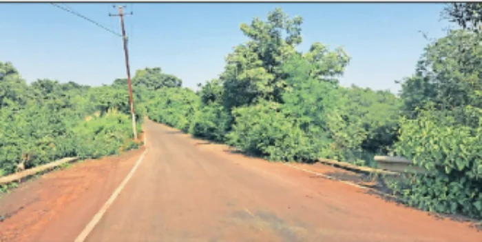 Kamshet-Jambhavli: कामशेत-जांभवलीची वाट झाली बिकट; वडवली परिसरात साइडपट्ट्या झाकल्या,