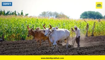 Satara: जिल्ह्यात बाराशे शेतकऱ्यांना ‘कर्जमुक्ती’ योजनेचा लाभ