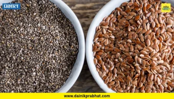 Heart Health: हृदय निरोगी ठेवण्यासाठी चिया सीड्स की जवस? जाणून घ्या कोणते आहेत अधिक फायदेशीर!