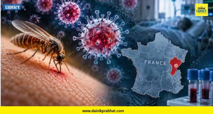 Shamonda virus: