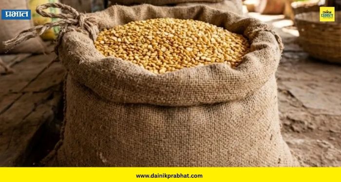 Pulse Prices : दिवाळीआधी तूरडाळ महागणार? जागतिक बाजारात दर 10 टक्क्यांनी वाढले; सरकारची हालचाल सुरू
