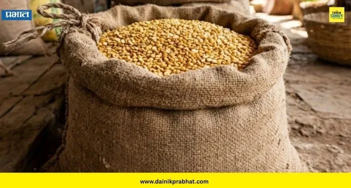 Pulse Prices : दिवाळीआधी तूरडाळ महागणार? जागतिक बाजारात दर 10 टक्क्यांनी वाढले; सरकारची हालचाल सुरू