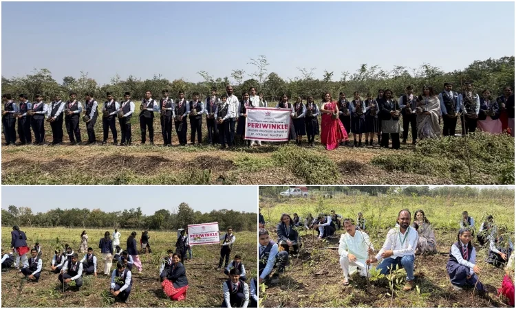 Pune : एनडीएच्या वनक्षेत्रात 3 हजार देशी वृक्षांची लागवड; पेरिविंकलच्या विद्यार्थ्यांचा हरित संकल्प