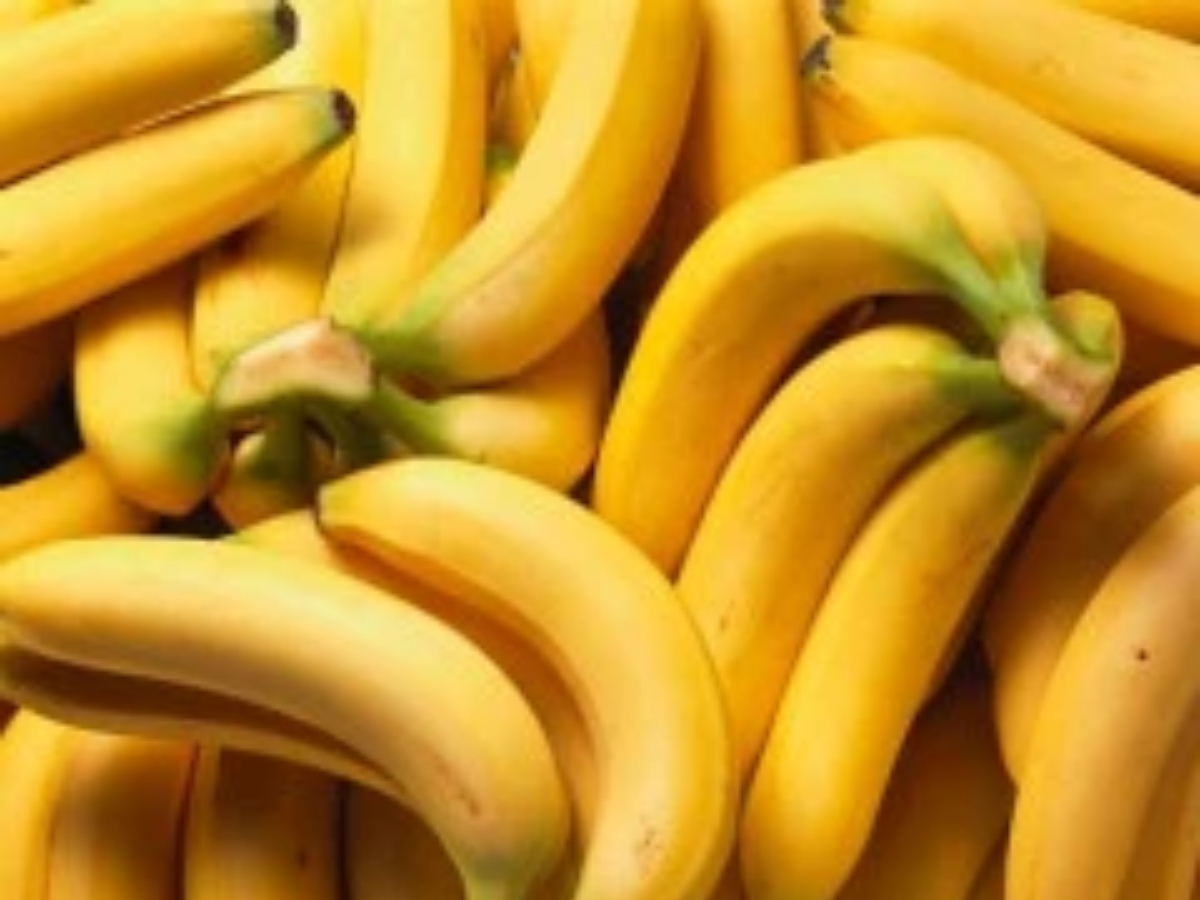 सरकार की मदद से ‘Banana Powder’ बना हिट, अब कई राज्‍यों में है मांग