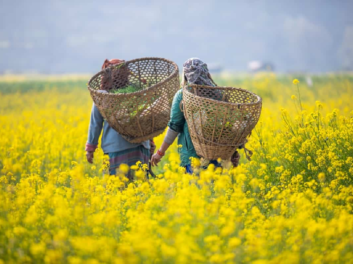 यूपी सरकार दे रही किसानों को सोलर पंप पर सब्सिडी, जानें लाभ उठाने की प्रक्रिया