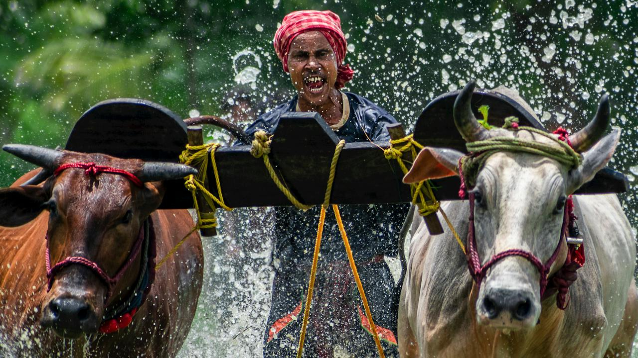 किसानों के लिए वरदान से कम नहीं सहकारिता विभाग- जानिए इसके क्या क्या काम?