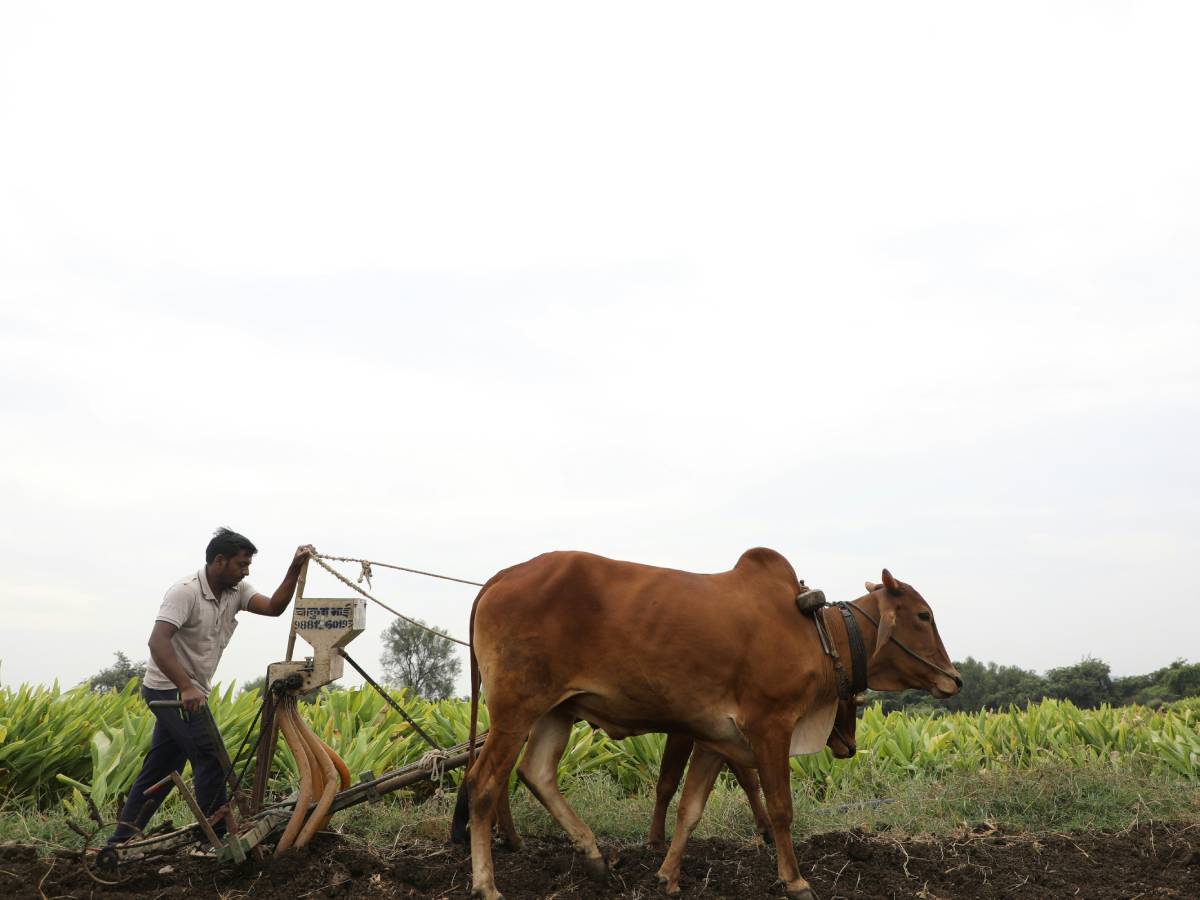 क्‍या है फार्मर रजिस्‍ट्री के जिसके बगैर नहीं मिलेगी पीएम किसान की कोई भी किस्‍त
