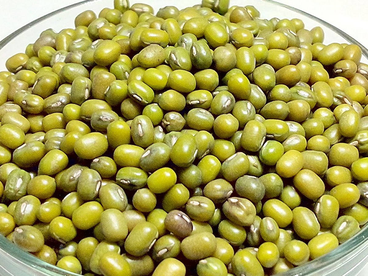 मूंग की खेती में पहला पानी कब लगाएं, किसान जान लें सही विधि