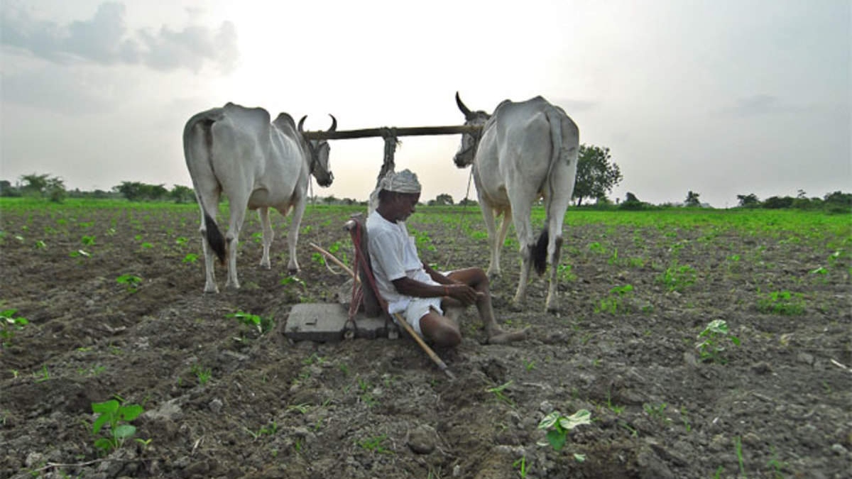 तेलंगाना में 3.50 लाख से ज्‍यादा किसानों के खाते में नहीं आई किसान रायथु भरोसा की राशि