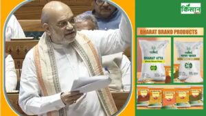 मीठे और पुराने बीजों का संरक्षण शुरू, भारत ब्रांड में 100 फीसदी ऑर्गेनिक प्रोडक्ट बिक रहे मीठे और पुराने बीजों का संरक्षण शुरू, भारत ब्रांड में 100 फीसदी ऑर्गेनिक प्रोडक्ट बिक रहे