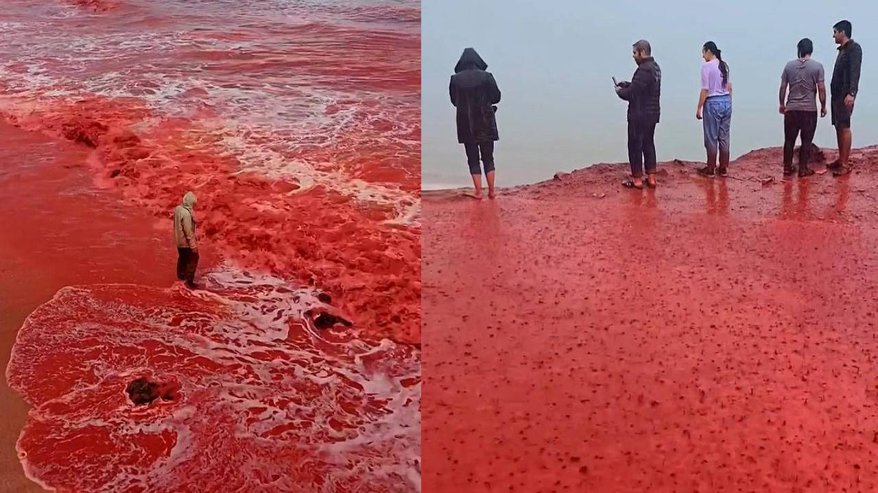 क्या है ‘Blood Rain’ या खूनी बारिश? जानिए इसके पीछे का वैज्ञानिक कारण
