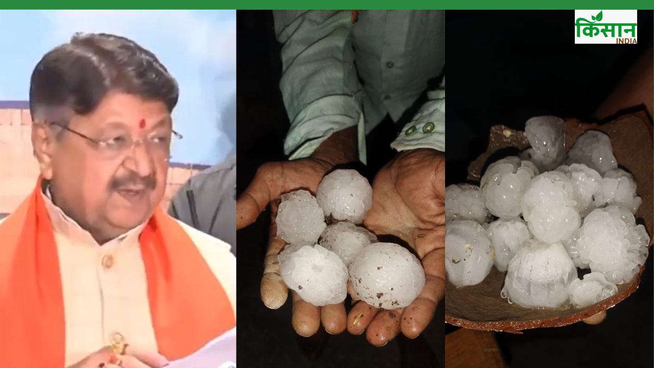 मौसम की बेरुखी से मसूर, प्याज समेत 7 फसलें चौपट, मुआवजे पर आया बड़ा अपडेट