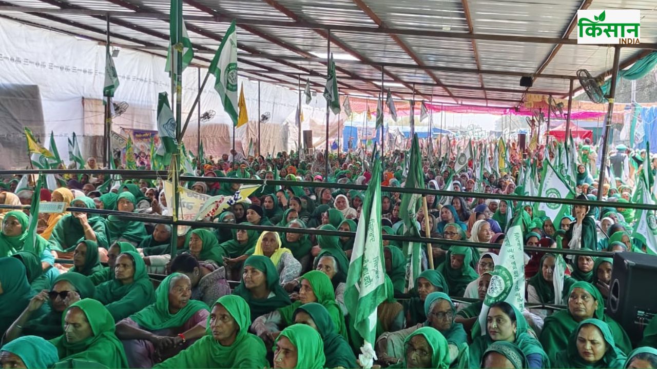 चंडीगढ़ में किसानों की महापंचायत, कई राज्यों से किसान नेता और कृषि विशेषज्ञ पहुंचे