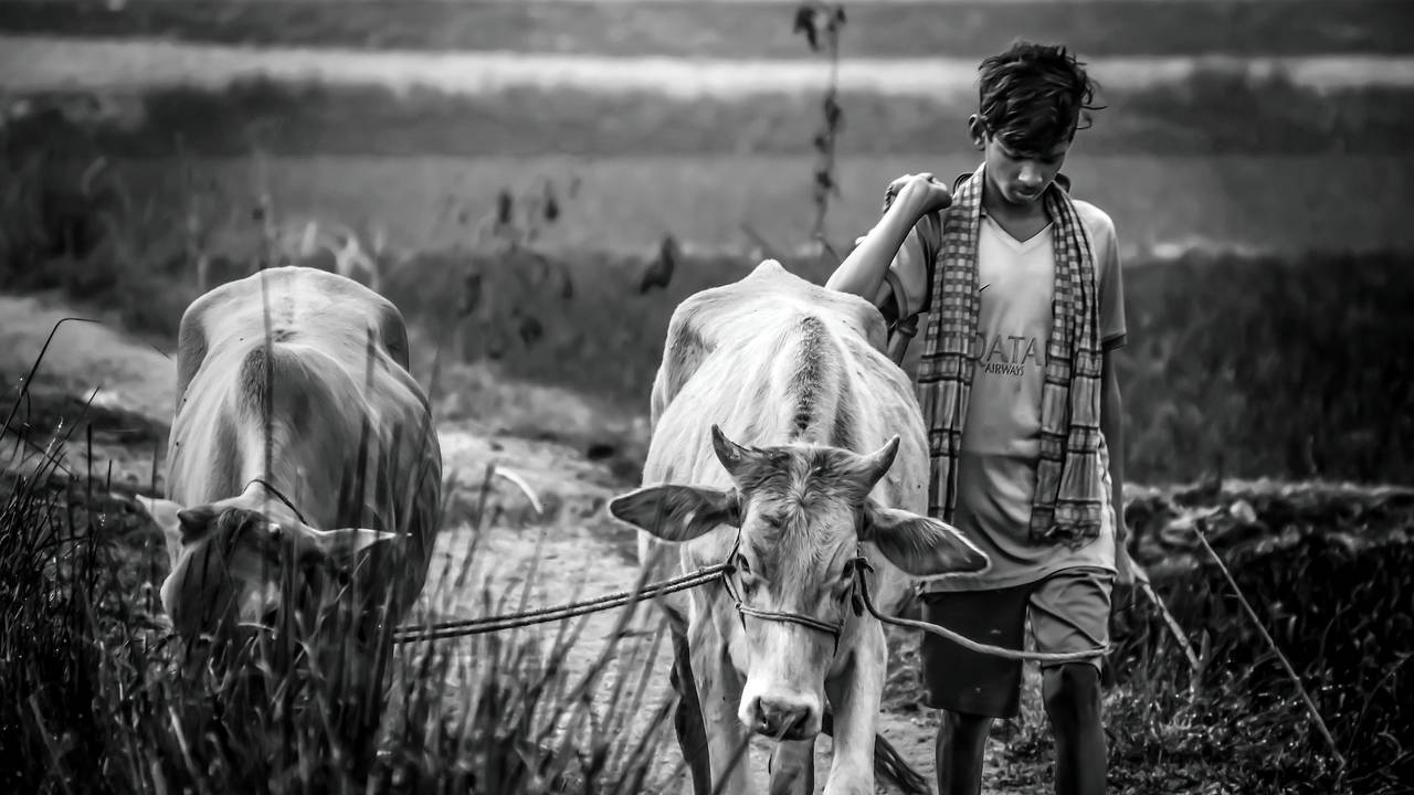 हरियाणा के 27 लाख किसानों पर बकाया है कई हजार करोड़ रुपये का कर्ज