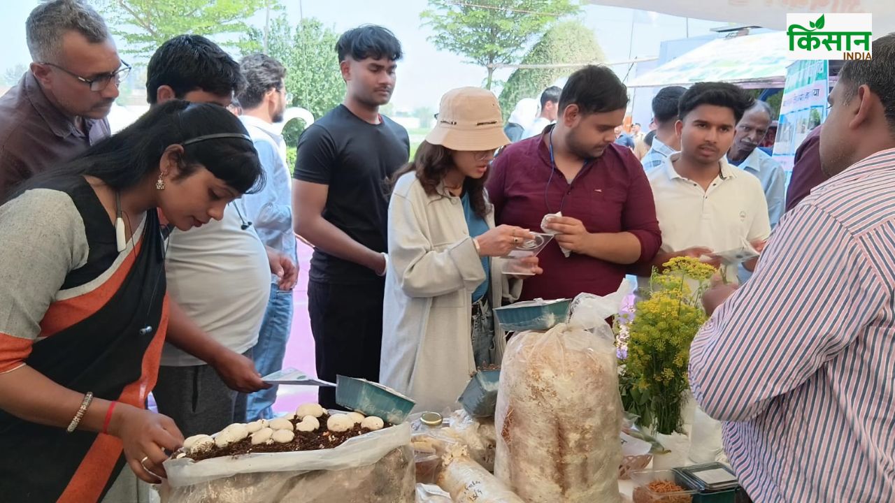 इजराइल तकनीक से खेती करेंगे किसान, सब्जी की फसलों में बढ़ेगा मुनाफा