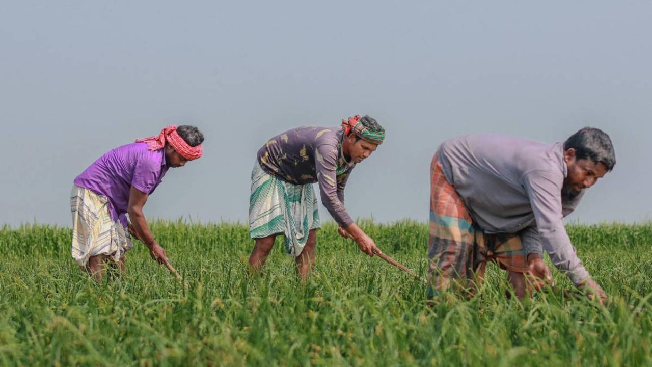 कॉलेज में किसानों के साथ छात्रों ने समझीं ऑर्गेनिक फार्मिंग की बारीकियां