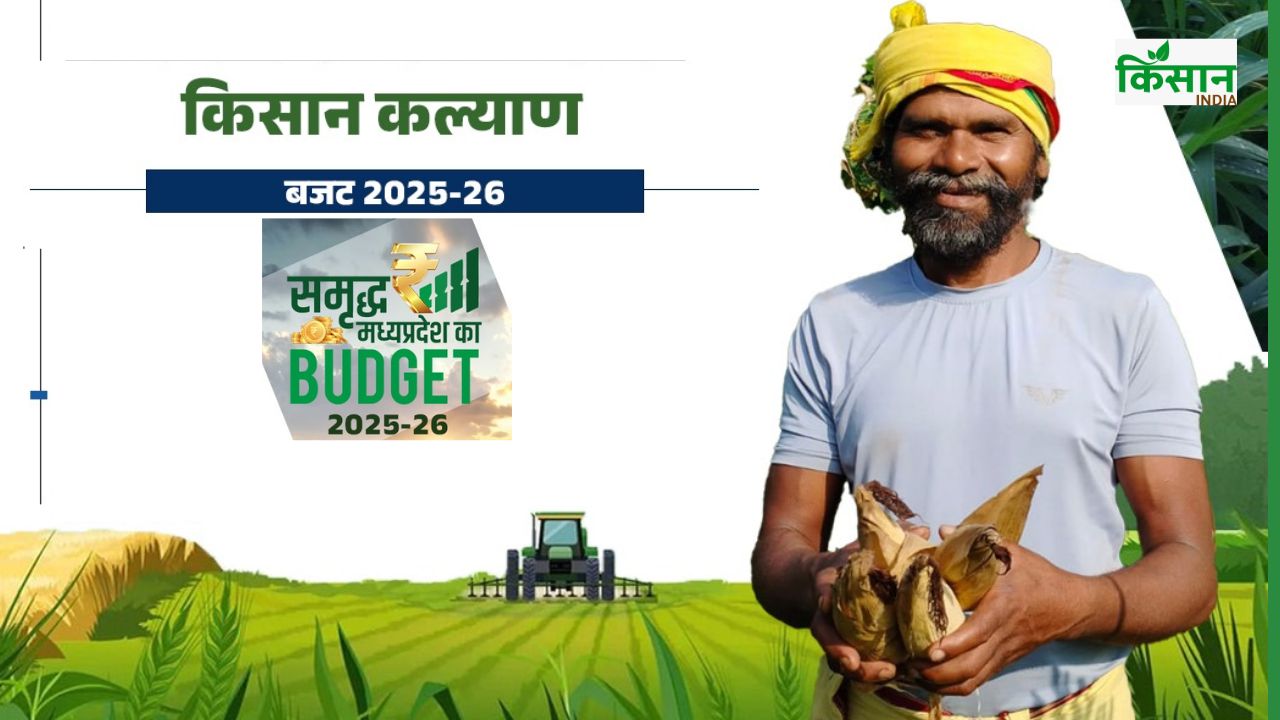 किसानों को मुफ्त बिजली के लिए 5299 करोड़ खर्च होंगे, मध्य प्रदेश बजट में क्या है खास?