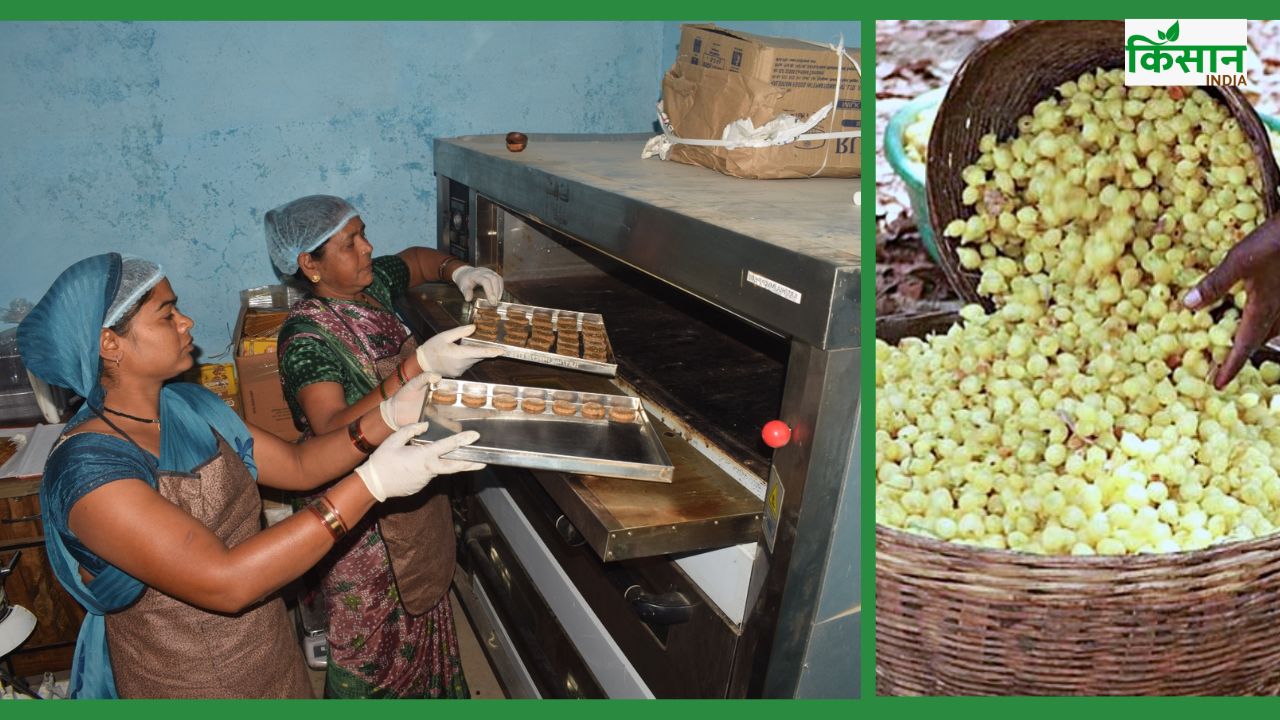 महुआ से कुकीज और लड्डू बना रहीं चार बहनें.. 5 हजार रुपये से शुरू किया था कारोबार