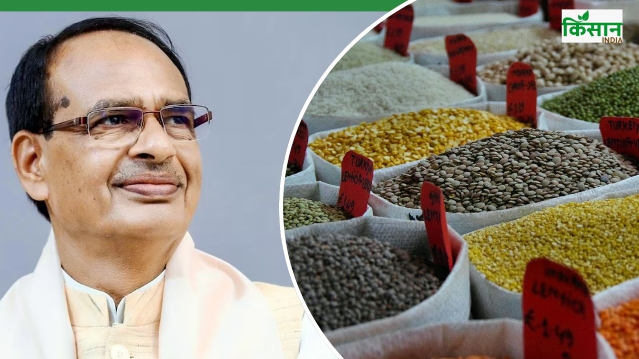 चना, सरसों, मसूर और खोपरा खरीद की मंजूरी, 1.71 लाख किसानों को मिला MSP