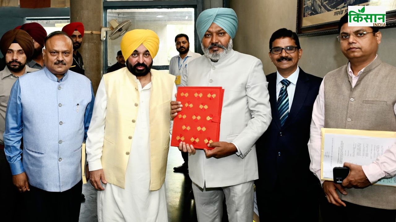 मक्का से पराली और बिजली सब्सिडी तक..जानें पंजाब बजट में किसानों को क्या मिला