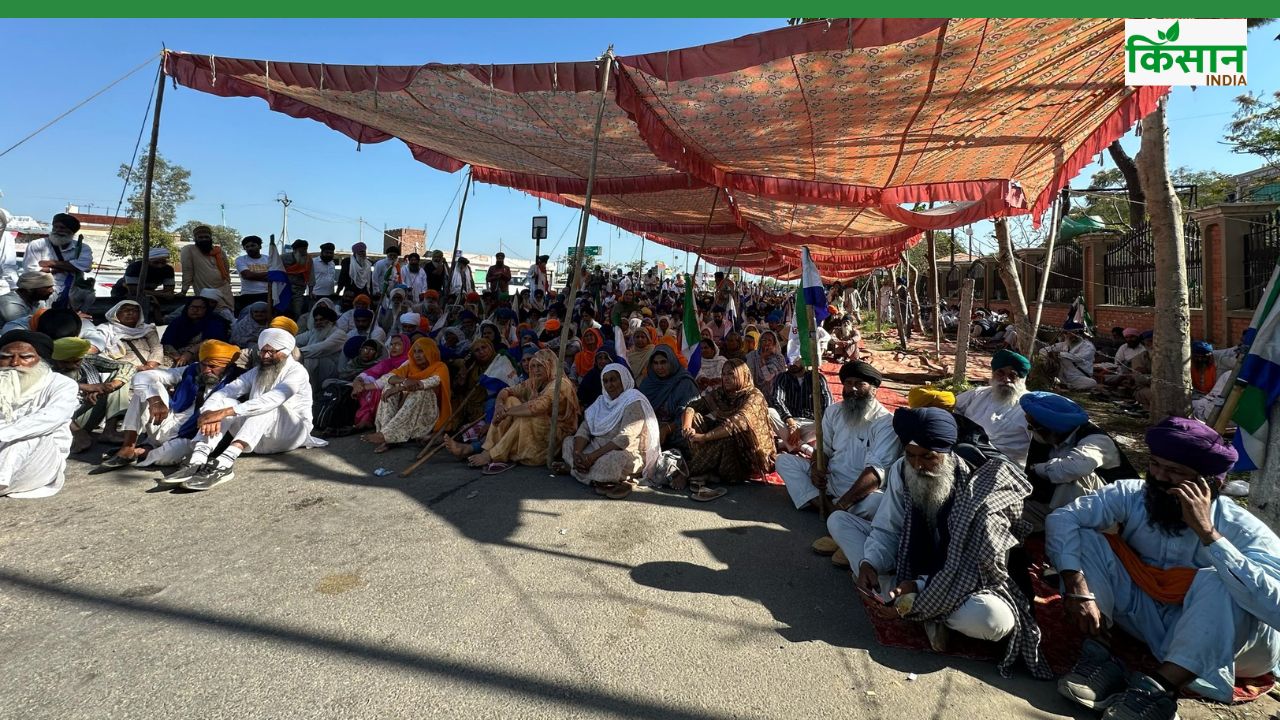 किसान नेताओं की हिरासत मामले पर कोर्ट से आ सकता है बड़ा निर्देश, पढ़ें डिटेल्स