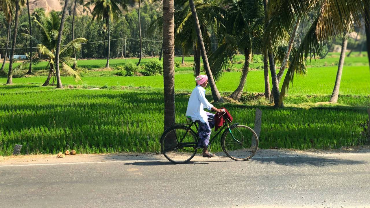 छत्तीसगढ़ में खाली सरकारी जमीनों का होगा विकास, बनेगा डिजिटल लैंड बैंक