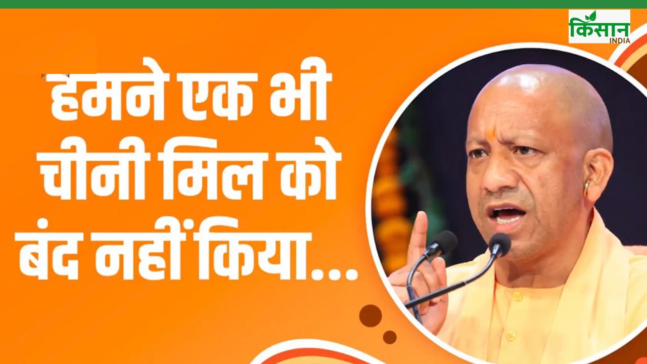 गन्ना, आलू समेत इन फसलों में यूपी नंबर वन, कृषि विकास दर बढ़कर 13 फीसदी के पार