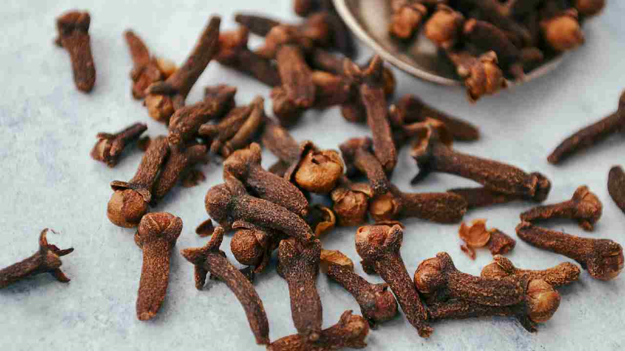 लौंग की खेती में छिपा है तगड़ा मुनाफा, ऐसे करें शुरुआत