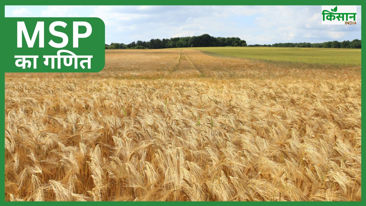 क्यों छिड़ी है MSP की लड़ाई.. धान-गेहूं और सरसों का गणित, जानिए सभी फसलों का दाम