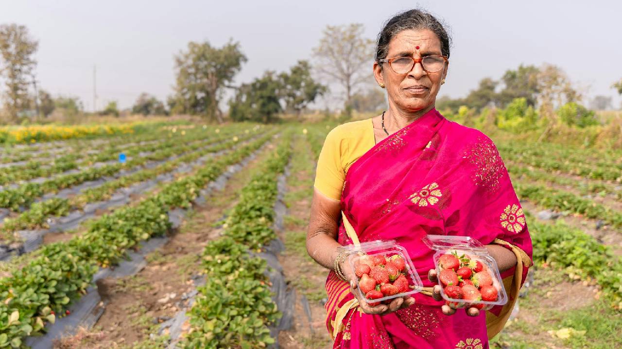 बिहार सरकार दे रही बागवानी पर बंपर सब्सिडी, जानिए कैसे करें आवेदन