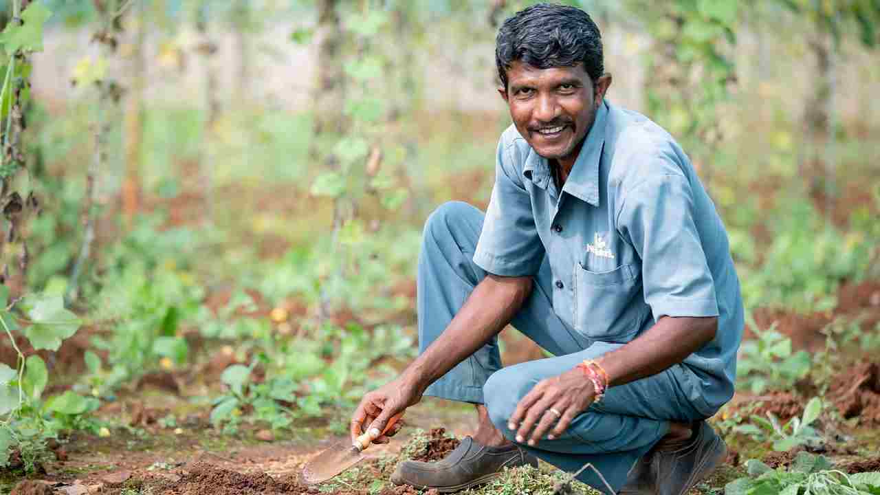 ‘सागू बागू’ एआई प्रोजेक्ट का कमाल, किसानों की आय में होगी बंपर बढ़ोतरी