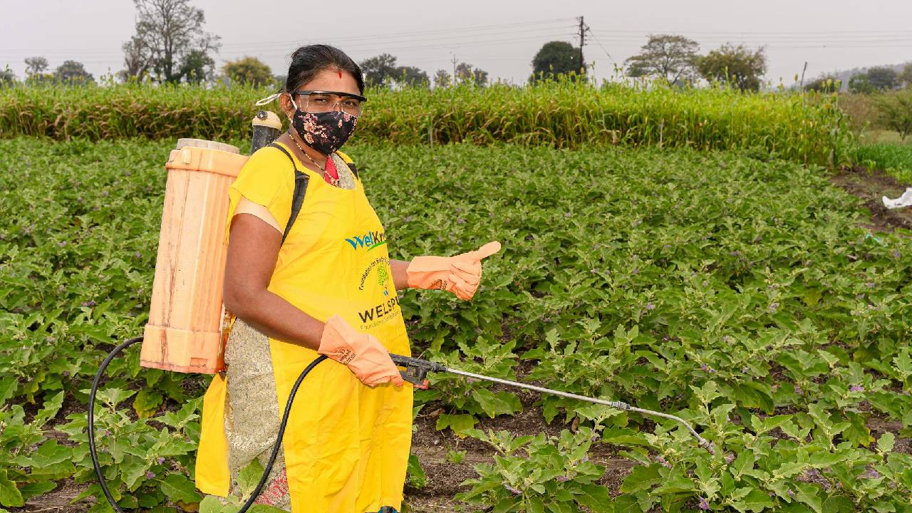 IFFCO ने बनाई नई खाद, अब नहीं पड़ेगी यूरिया और डीएपी की जरूरत?