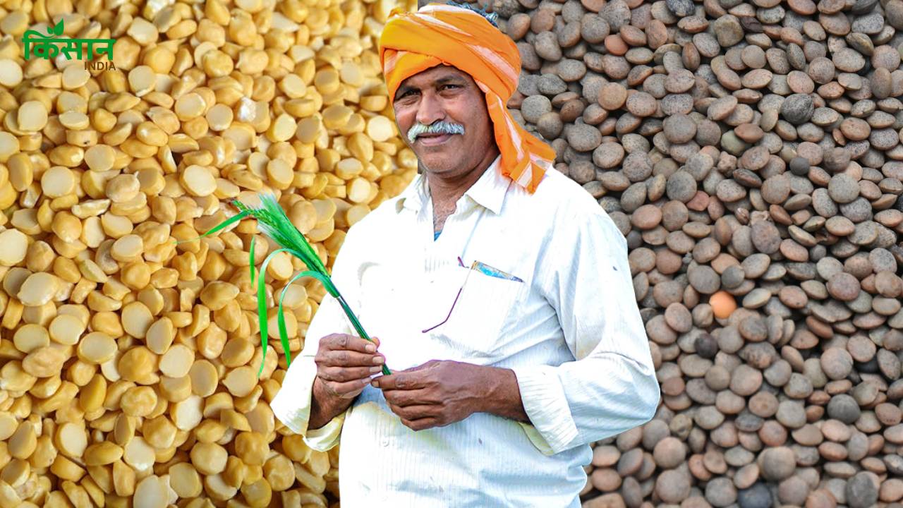 डिजिटल मंडी: किसानों के लिए नई राह, बिचौलियों से मिलेगी आजादी