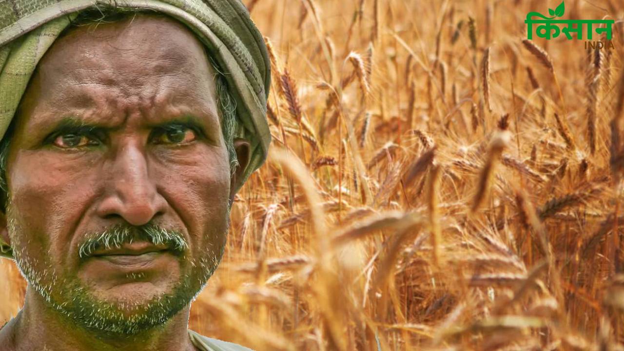 हरियाणा के 615 गांवों के किसानों को मिलेगा मुआवजा, जल्द करें आवेदन