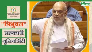देश की पहली सहकारिता यूनिवर्सिटी में पीएचडी भी होगी, हर साल 8 लाख युवा ट्रेंड होंगे देश की पहली सहकारिता यूनिवर्सिटी में पीएचडी भी होगी, हर साल 8 लाख युवा ट्रेंड होंगे