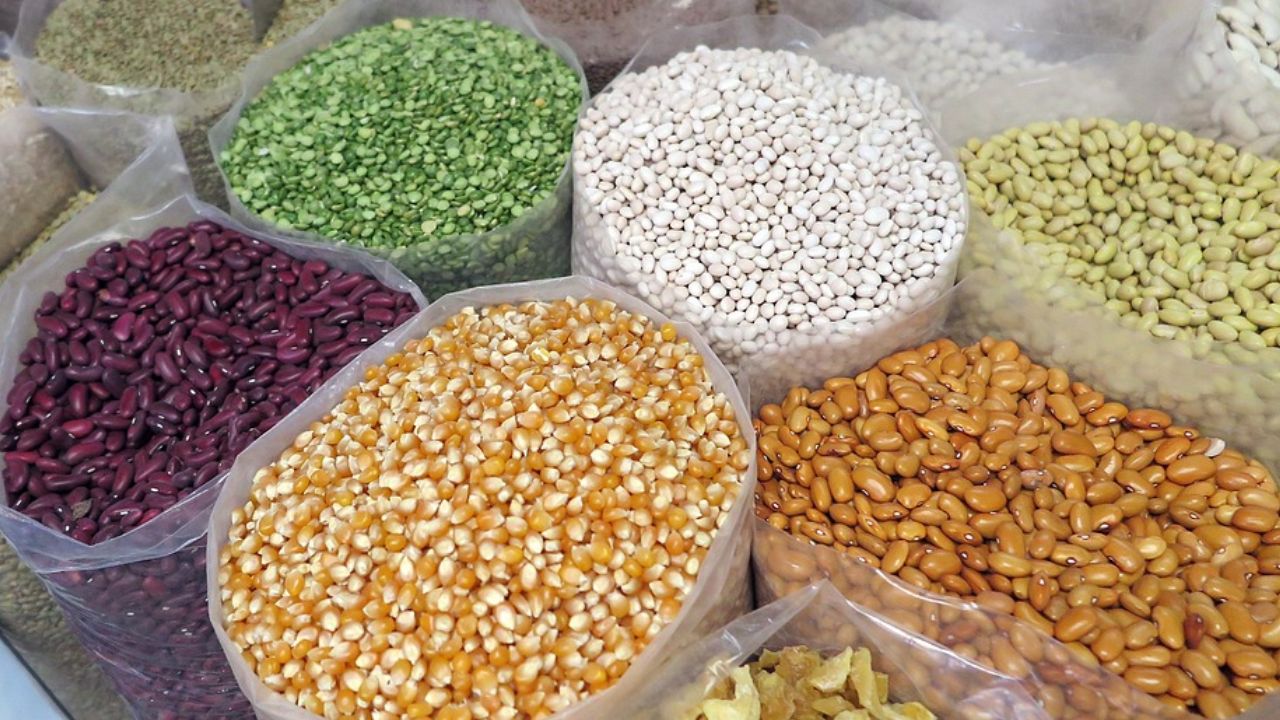 FAO Report: अनाज की खपत बढ़ी, भंडार घटा, क्या कीमतों पर पड़ेगा असर?